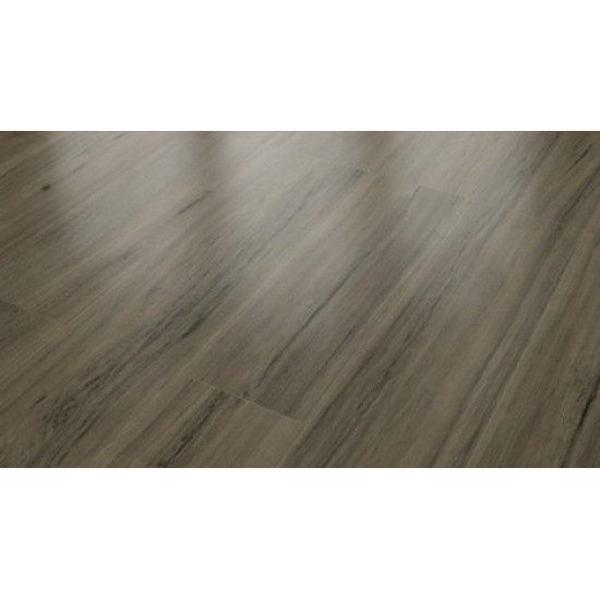 Classen Home 8 4V Клен брума