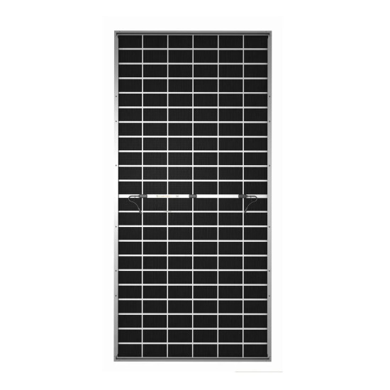 Сонячна батарея Tongwei Solar TWMNH-66HD630 Bifacial