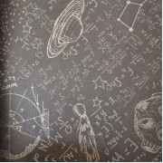IVC Space-It UP Science 598