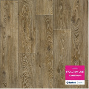 Tarkett Evolution Live Raymond 4