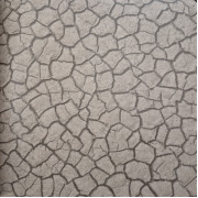IVC Surfaces Mojave 8