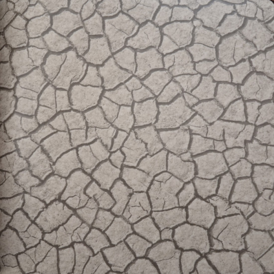 IVC Surfaces Mojave 8