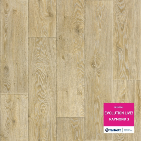 Tarkett Evolution Live Raymond 2