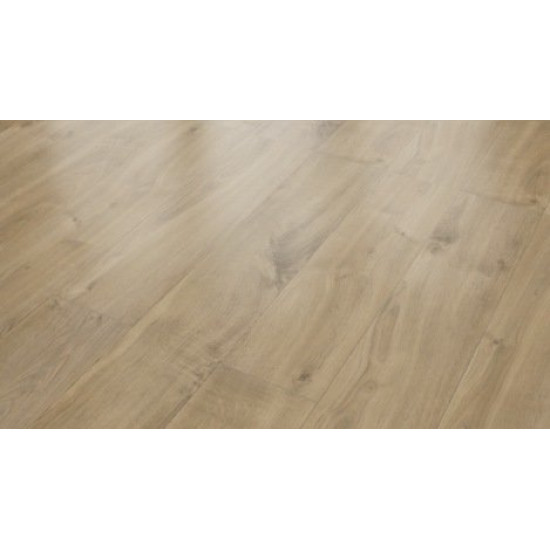 Classen Home 8 Strip 4V Дуб саваж