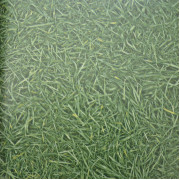 IVC Surfaces Grass 25