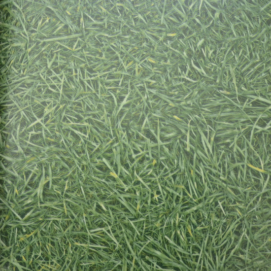IVC Surfaces Grass 25