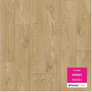  Tarkett ENERGY PASTER 2