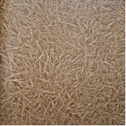 IVC Surfaces Grass 38