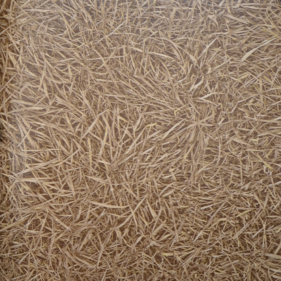 IVC Surfaces Grass 38